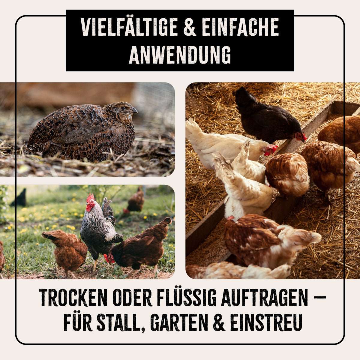 Natürliches AniForte® FarmLife Kieselgur Pulver, 200g, für Hühnerpflege und Stallhygiene, vielseitige Anwendung im Stall und Garten.