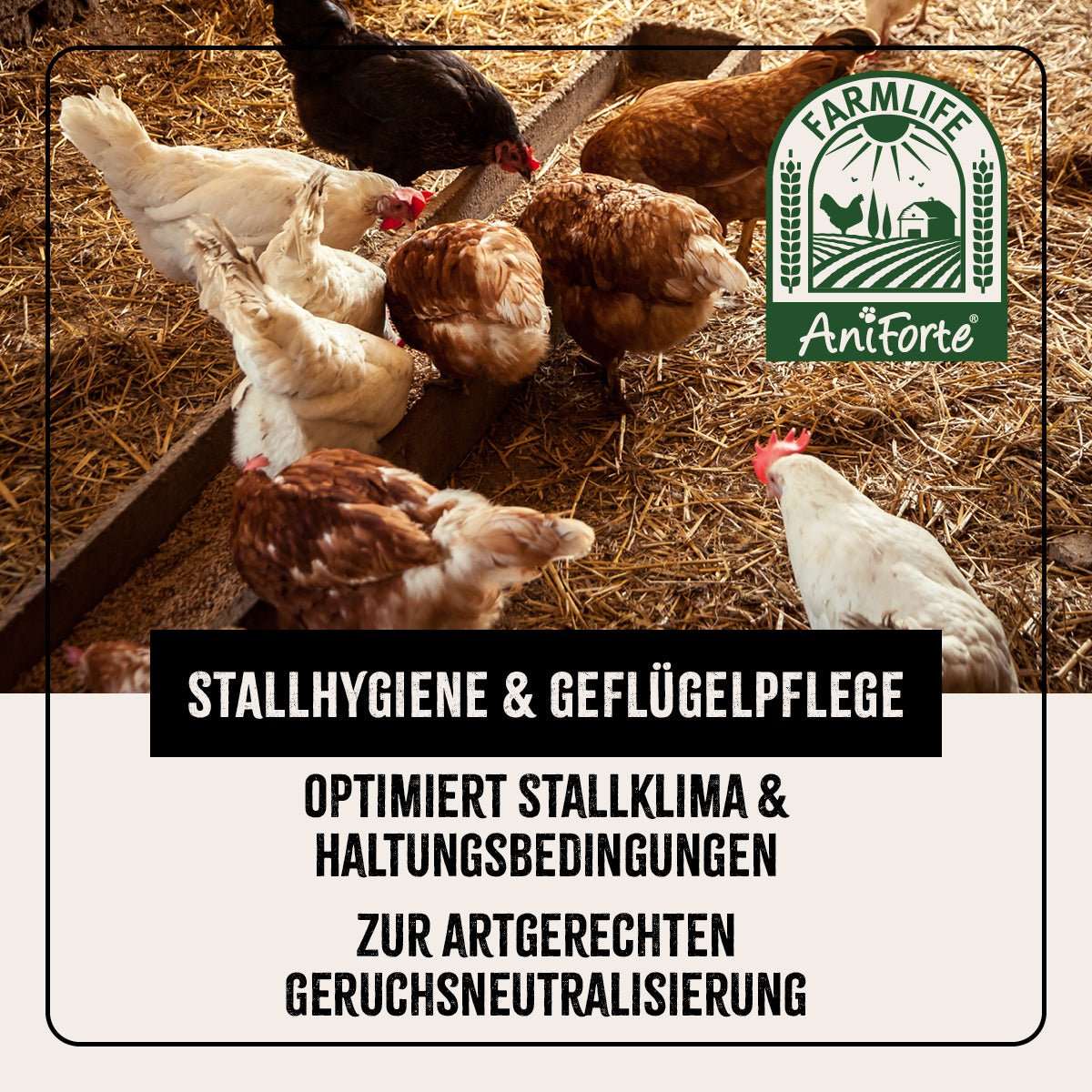 FarmLife Kieselgur Pulver für Stallhygiene und Geflügelpflege, optimiert Stallklima, natürliche Geruchsneutralisierung.