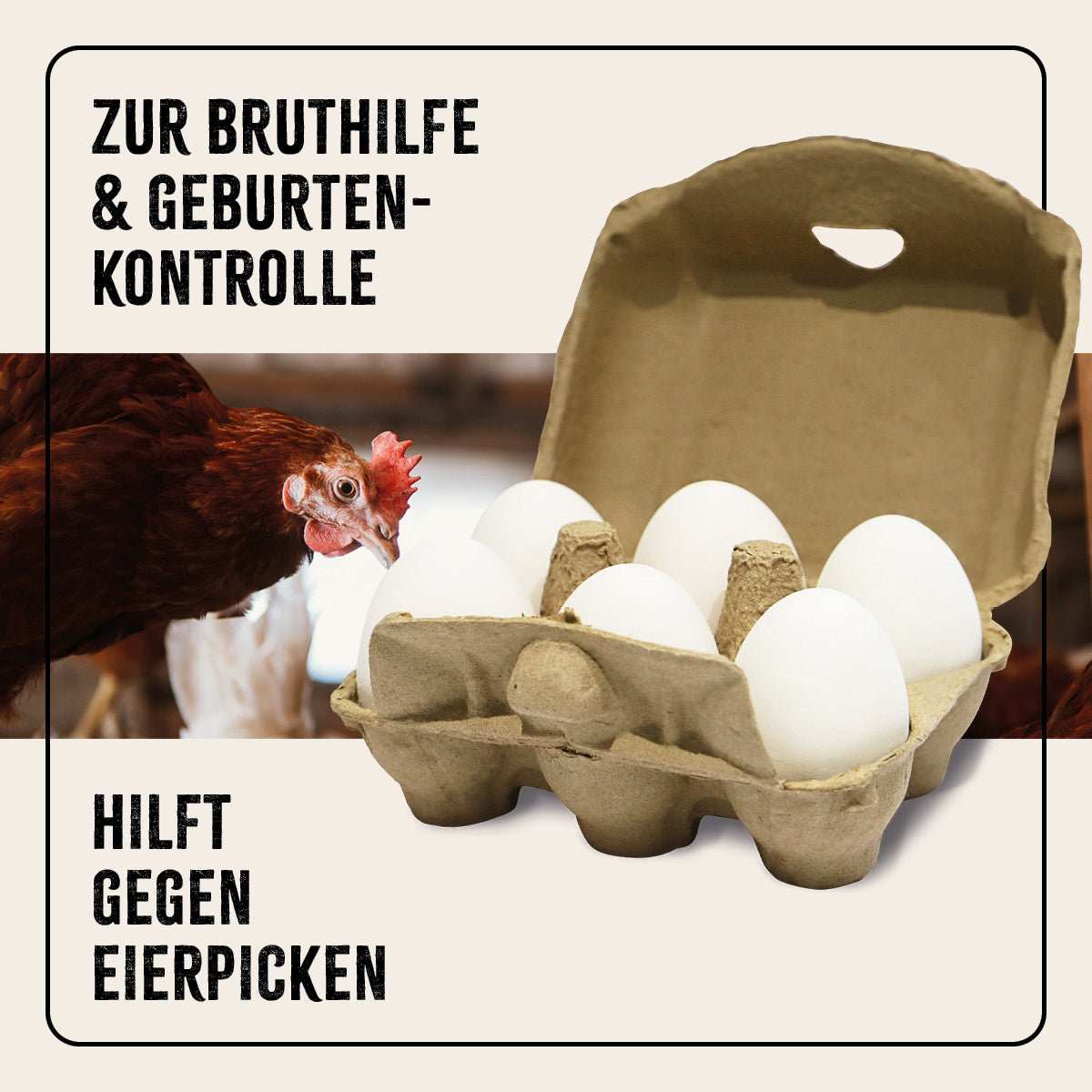 6er Pack FarmLife Ton-Eier in Eierkarton, ideal zur Bruthilfe und gegen Eierpicken.