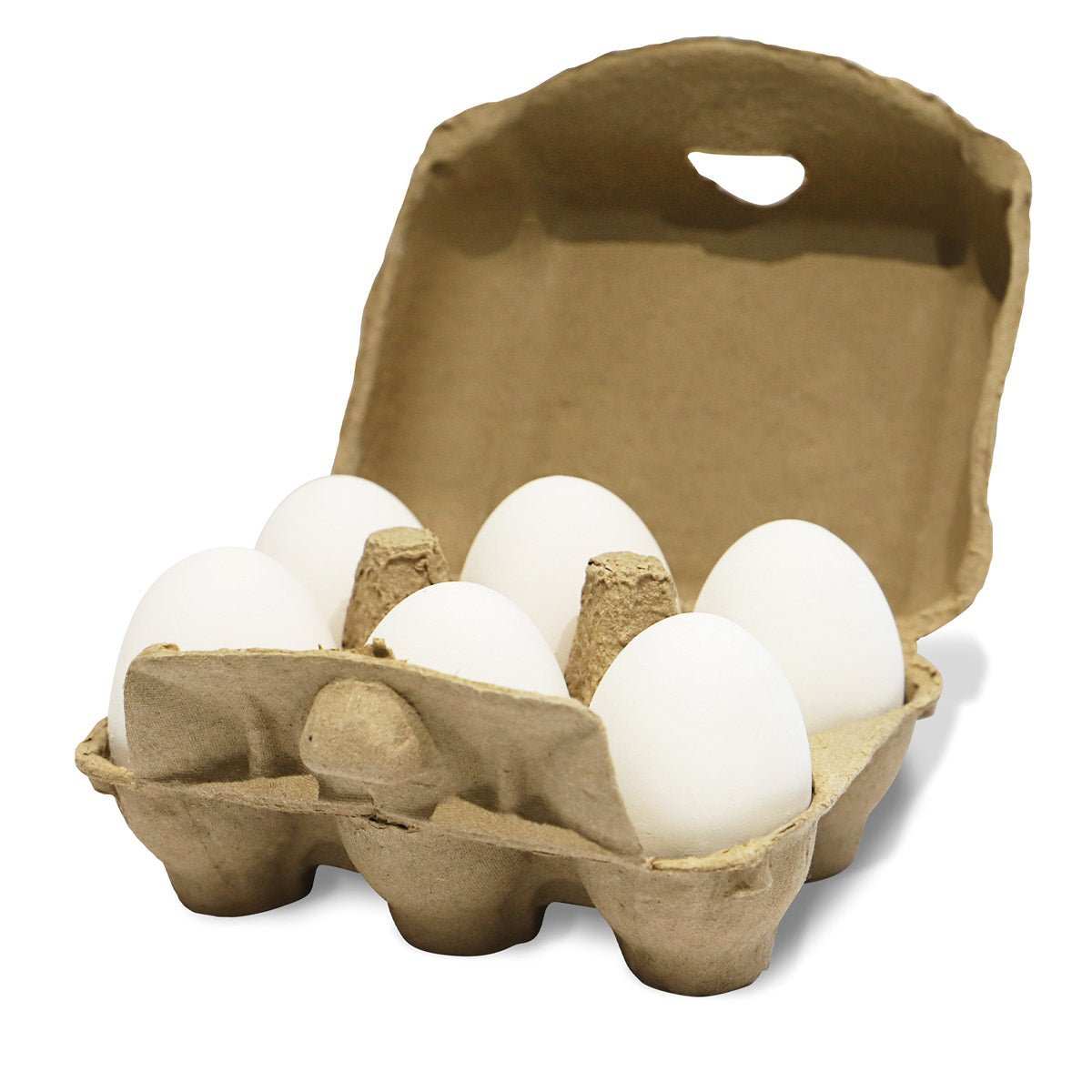 6er Pack FarmLife Ton-Eier in geöffneter Eierkartonverpackung, ideal als Bruthilfe und gegen Eierpicken für Hühner.