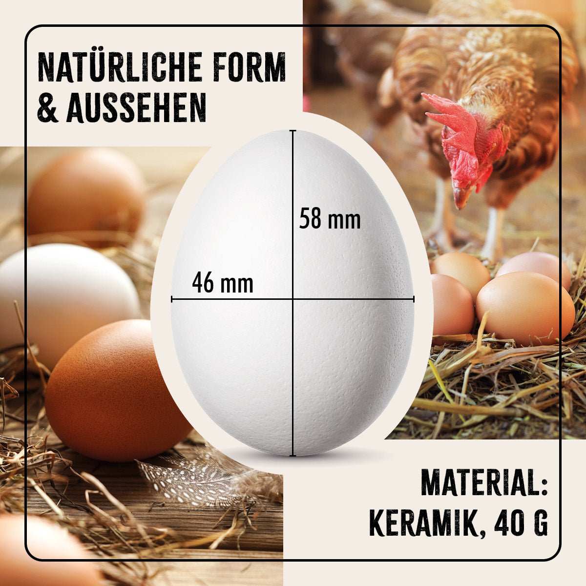 FarmLife Ton-Eier 6er Pack als Bruthilfe, täuschend echte Eier aus Keramik gegen Eierpicken.