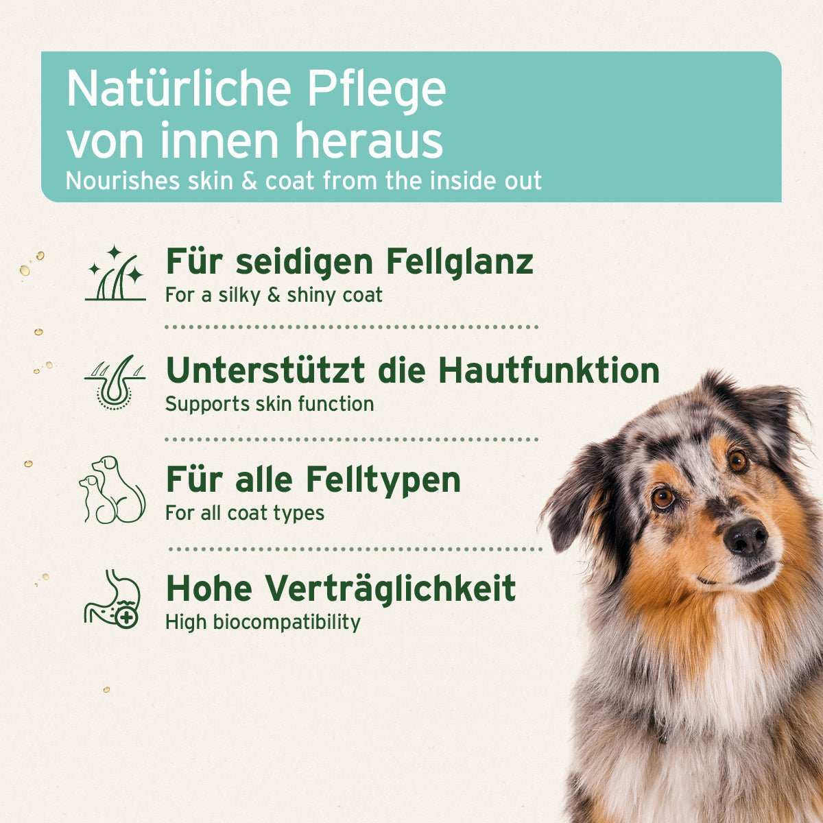 Informationsgrafik zu den Vorteilen von Fellharmonie Futteröl - AniForte