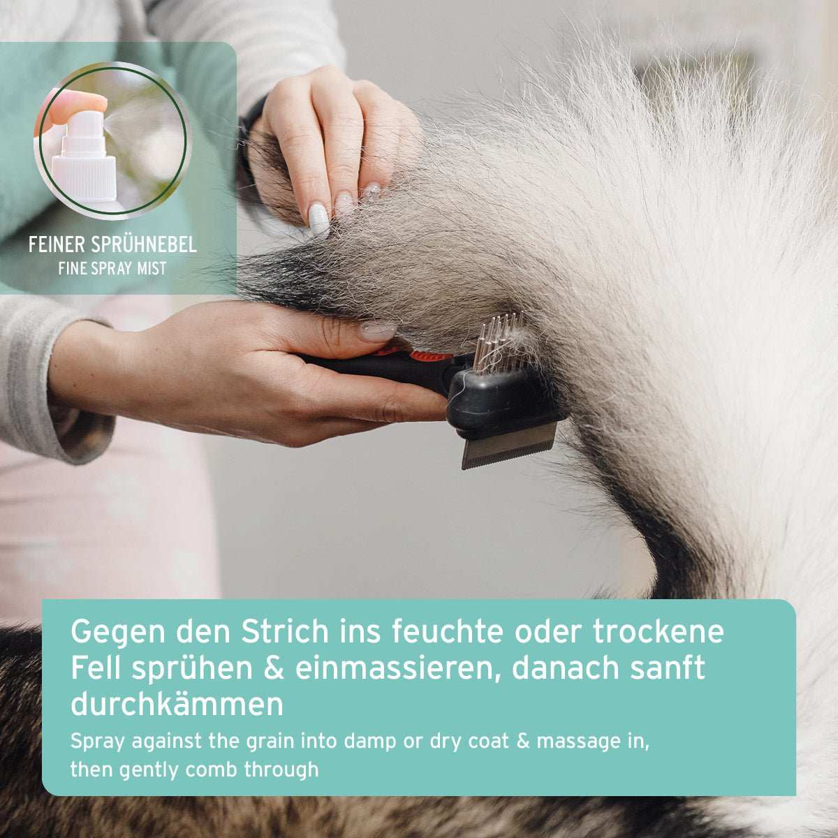 Pflegespray für Hunde und Katzen zur Entfilzung, mit natürlichen Inhaltsstoffen und Kokosduft, Bild zeigt Anwendung am Fell.