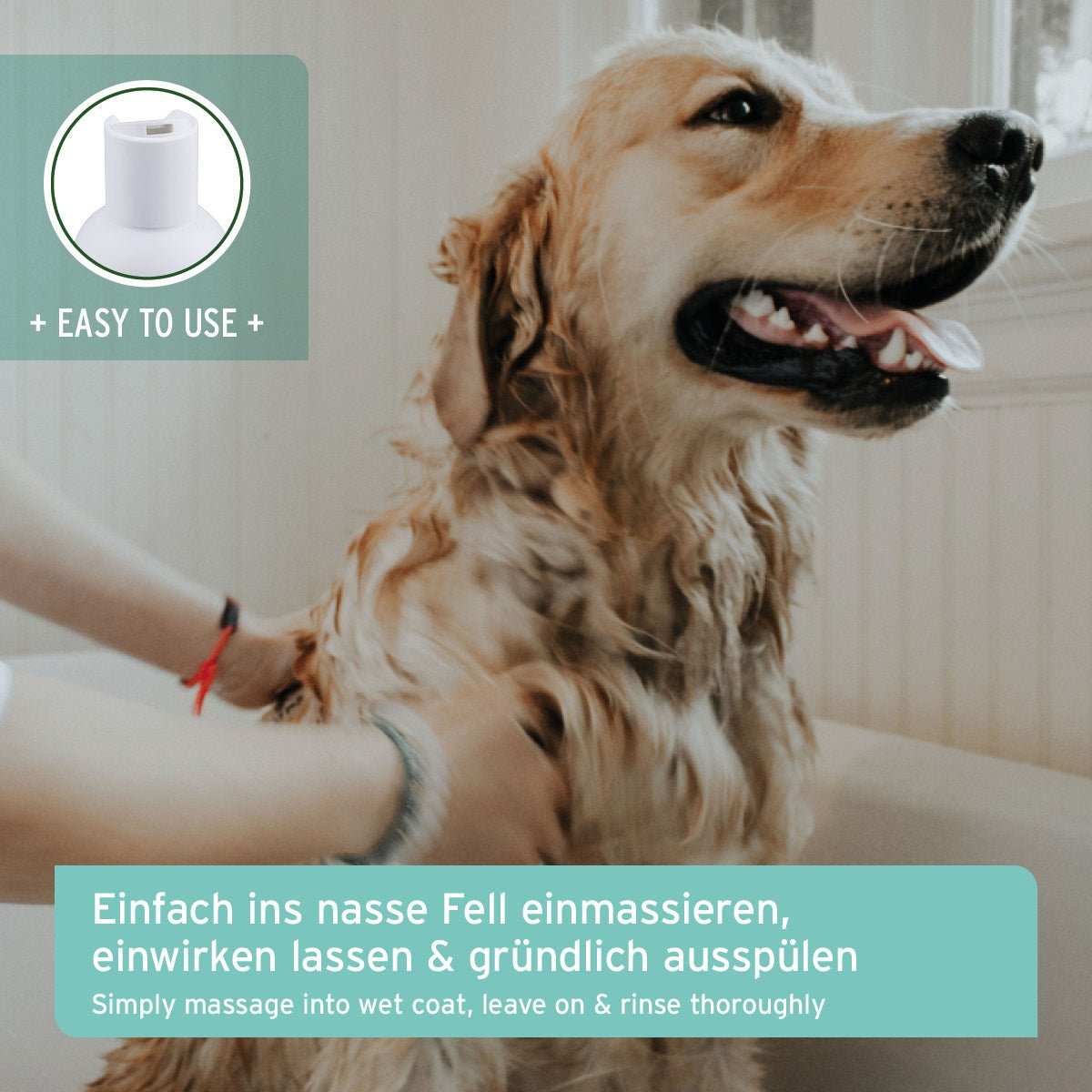Hund wird mit Fellharmonie Shampoo Sensitiv massiert, Aloe Vera für glänzendes, kämmbares Fell.