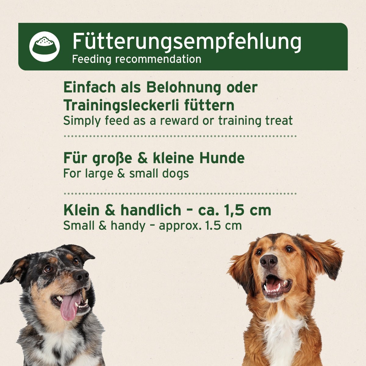 AniForte® Festtags-Knuspertüte mit knusprigen Snacks für große und kleine Hunde, ideal als Trainingsleckerlis, weihnachtlich verpackt.