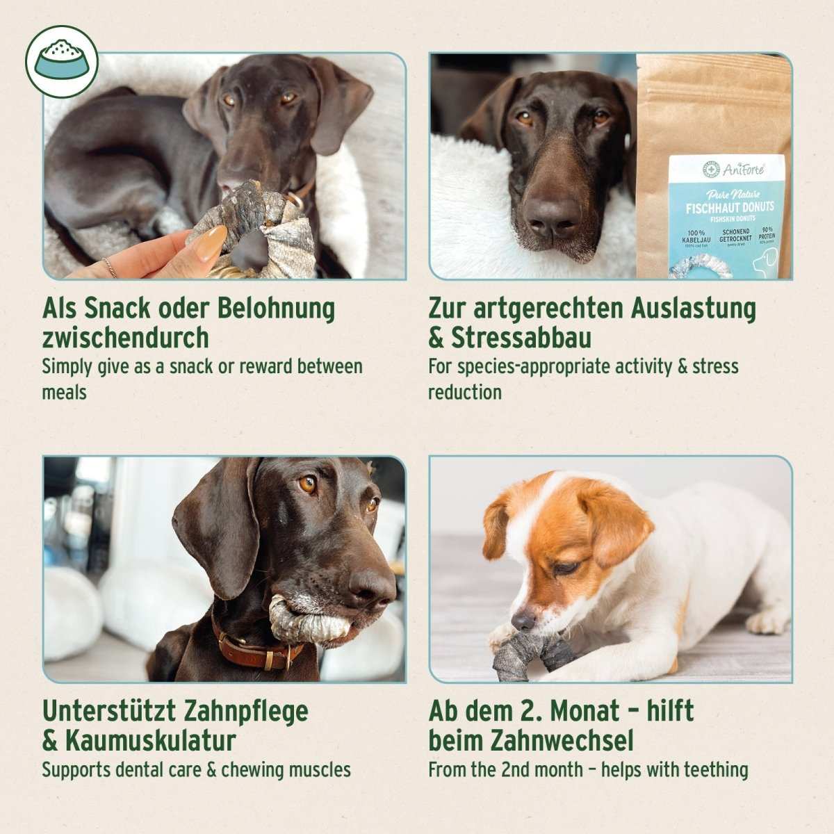 Fischhaut Donuts für Hunde, Kauspaß aus 100 % getrockneter Kabeljauhaut, ideal zur Zahnpflege und Stressabbau, natürlich und ohne Zusätze.