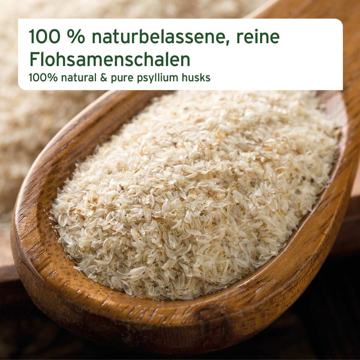 Flohsamenschalen auf einem Holzlöffel, naturbelassen und rein, unterstützt die Verdauung von Hunden und Katzen.