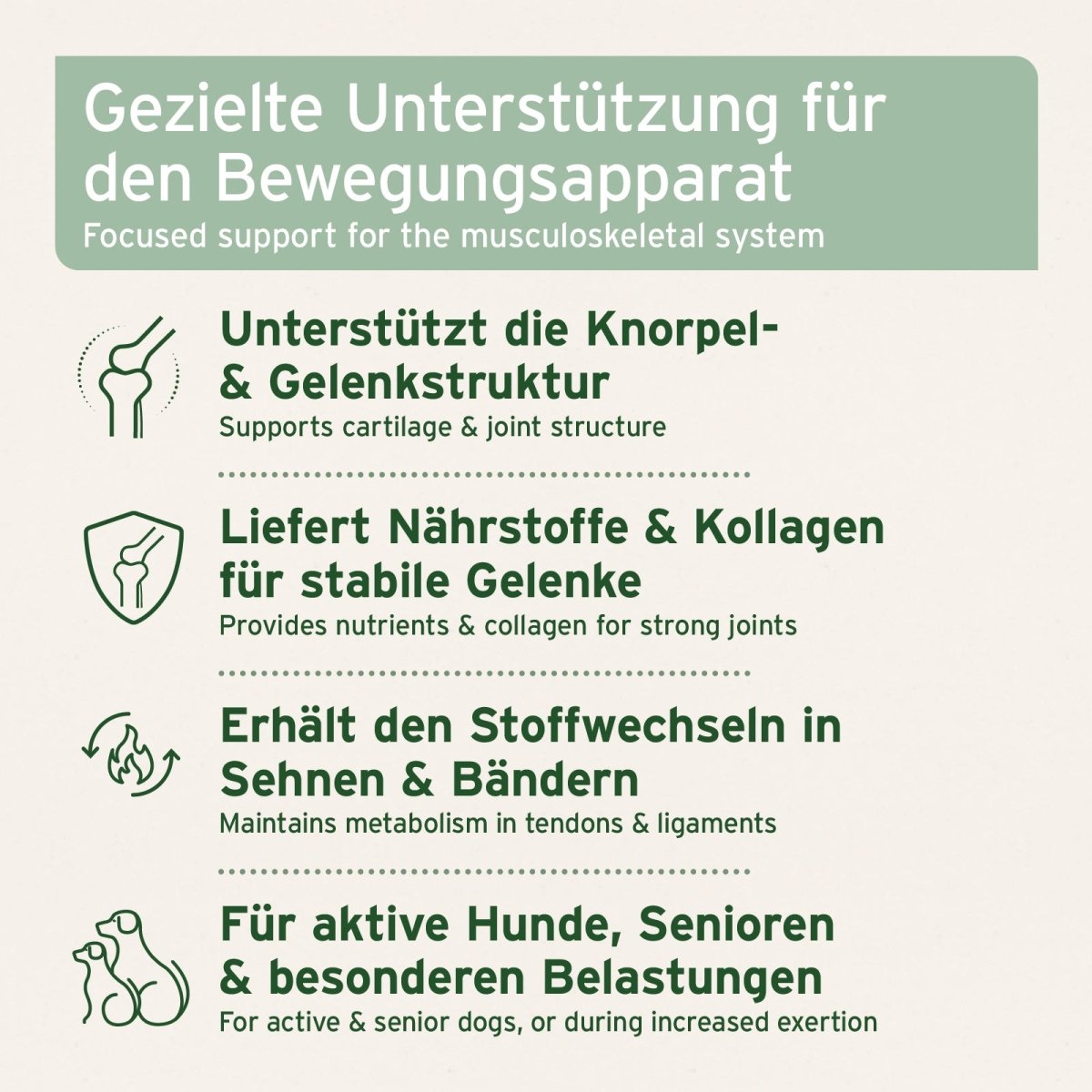Gelenktabletten - AniForte