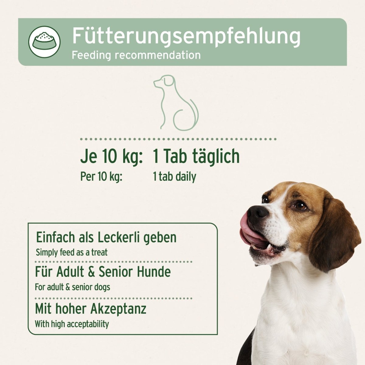 Gelenktabletten - AniForte