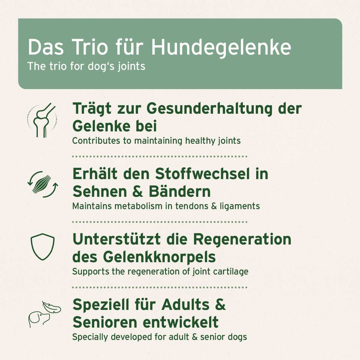 Grafiken Fördert natürliche Gelenkfunktion und Bewegungsfreude bei Hunden, enthält Grünlippmuschel, Teufelskralle und Fischkollagen für gesunde Gelenke.