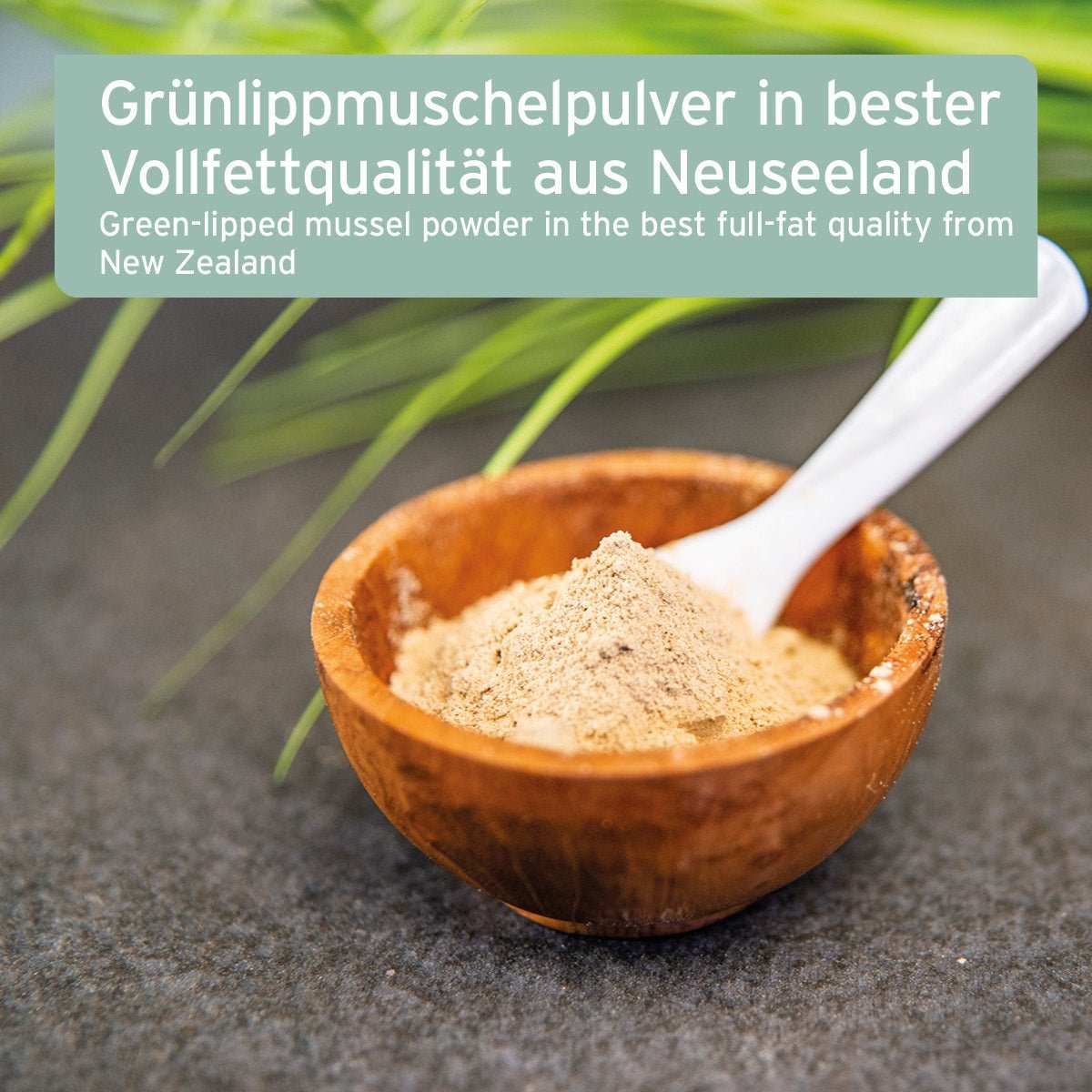 Grünlippmuschel-Pulver in Holzschale mit Löffel, hochwertige Vollfettqualität aus Neuseeland, fördert Gelenkgesundheit bei Tieren.