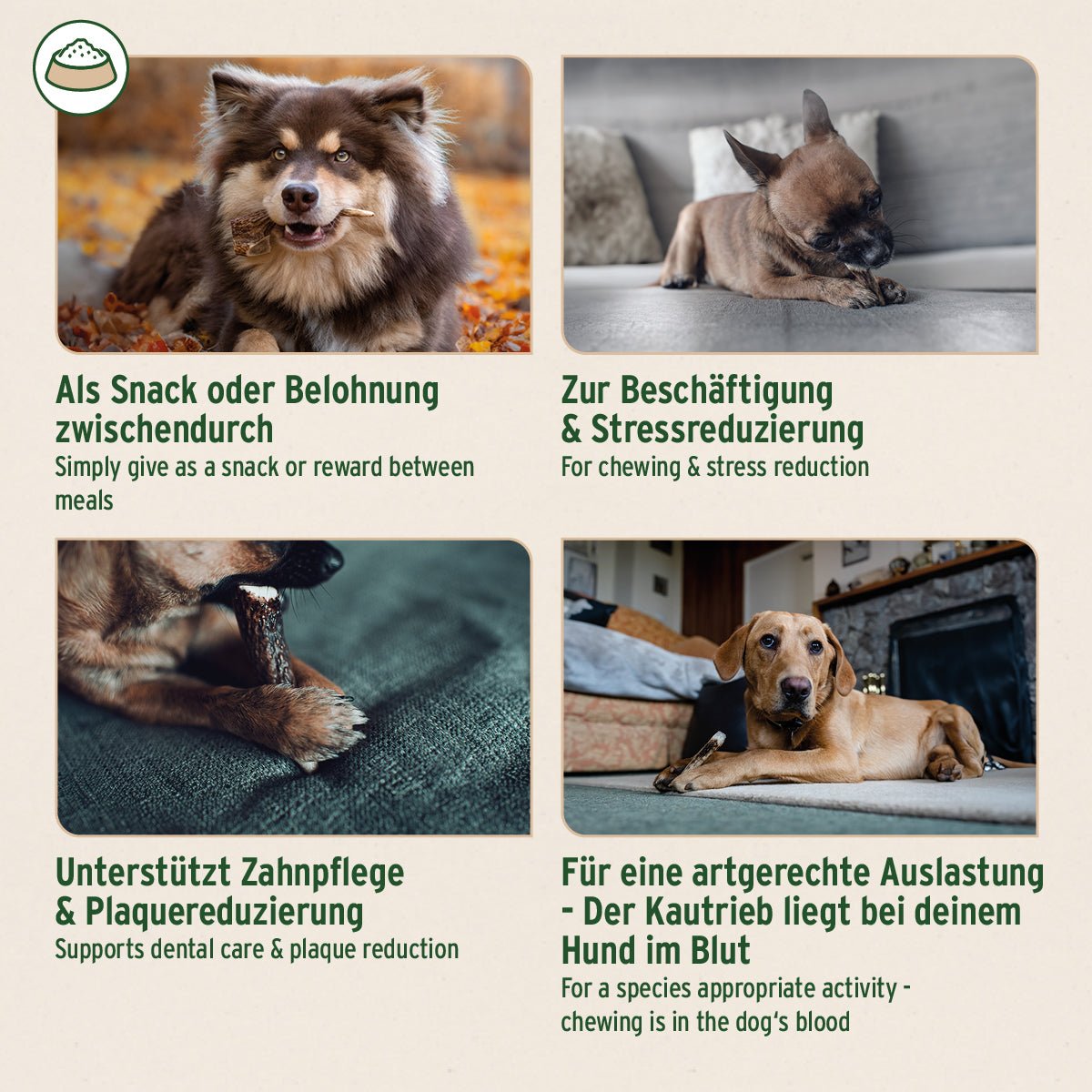 AniForte® Hochland Hirschgeweih natürlicher Kausnack für Hunde zur Zahnpflege und Stressreduktion