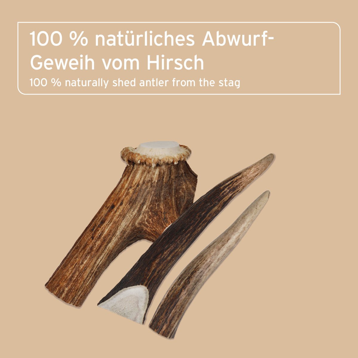 AniForte® Hochland Hirschgeweih natürliche Kaustange für Hunde aus 100 % Abwurfstangen