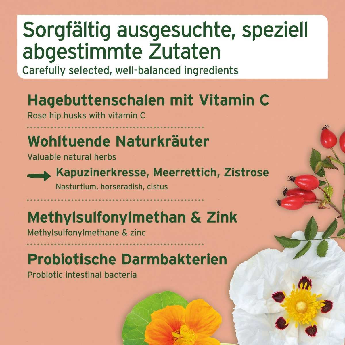 Sorgfältig ausgewählte Zutaten der AniForte® Immun-Boost Snacks für Hunde, darunter Hagebuttenschalen, Kräuter, MSM und Zink.