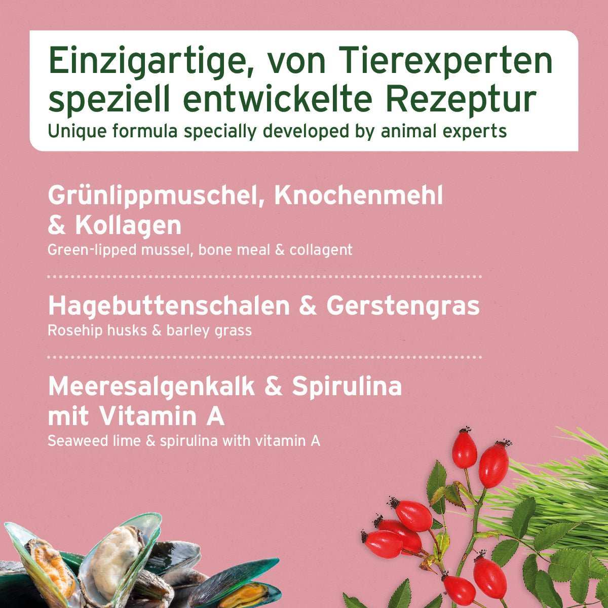 Grünlippmuschel, Spirulina und Hagebutte.