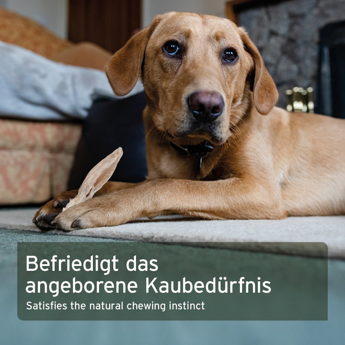 Kaninchenohren mit Fell - AniForte