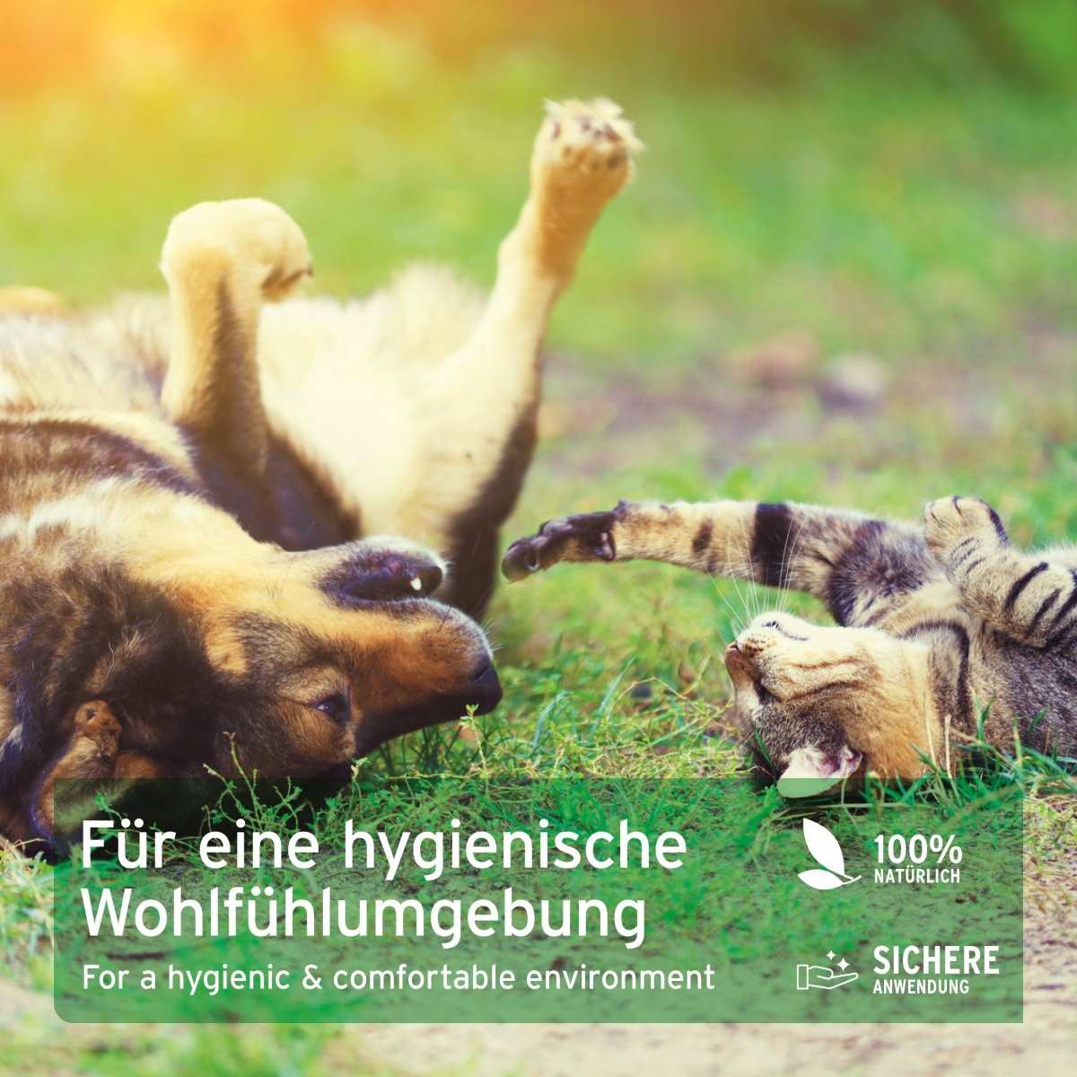 Hund und Katze spielen auf einer Wiese, beworben mit 100 % natürlichem AniForte® Kieselgur Pulver für eine hygienische und komfortable Umgebung.