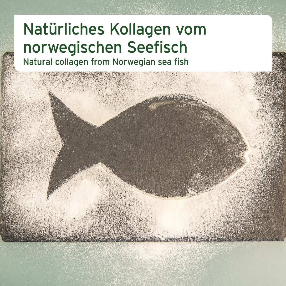 Grafik mit zusätzlichen Informationen Kollagen Pulver - AniForte