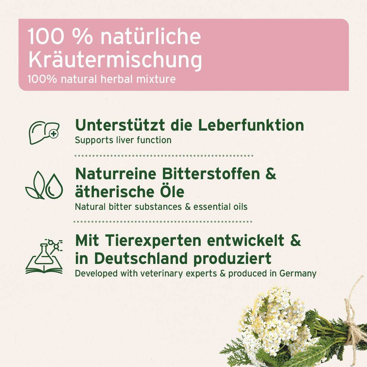 Grafische untermalte Darstellung Natürliche Kräutermischung AniForte LeberVetal Pulver zur Unterstützung der Leberfunktion bei Hunden, enthält Bitterstoffe und ätherische Öle.