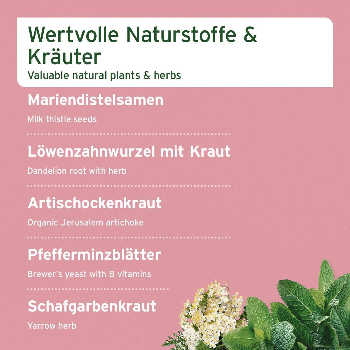 LeberVetal Pulver, natürliche Kräutermischung für Hunde, zur Unterstützung der Leberfunktion.