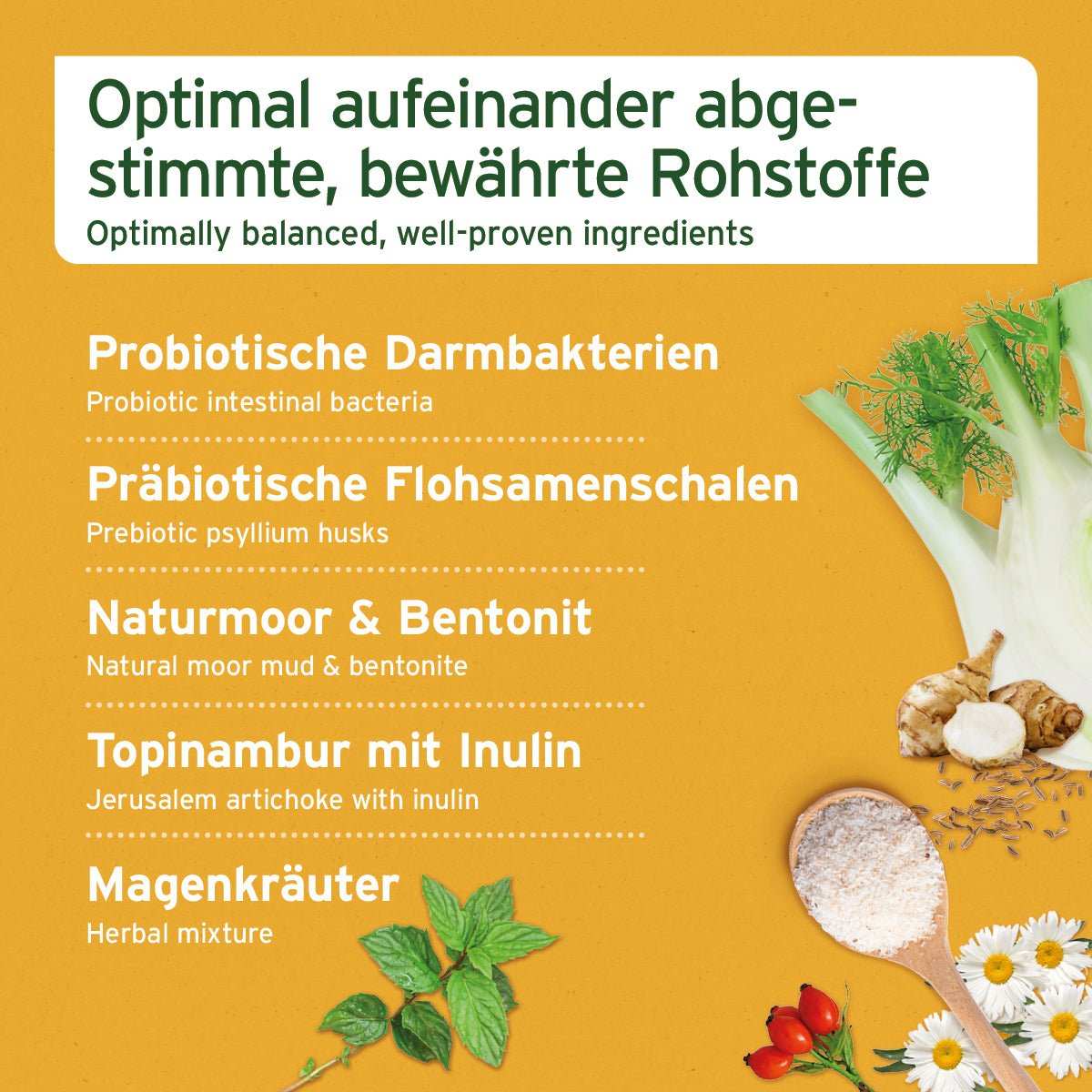 AniForte Magen & Darm-Snack für Hunde mit probiotischen Bakterien, Naturmoor, Flohsamenschalen, Topinambur und wohltuenden Kräutern.