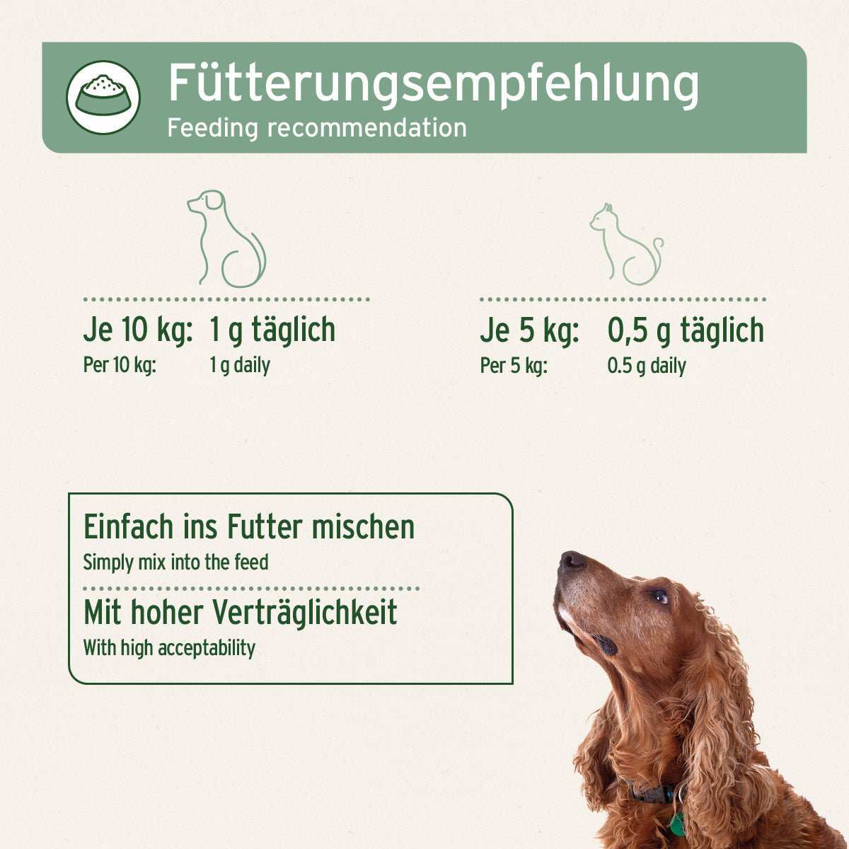 MSM Pulver für Hunde und Katzen - Fütterungsempfehlung und Hund. Brauner Hund der auf Grafik schaut.