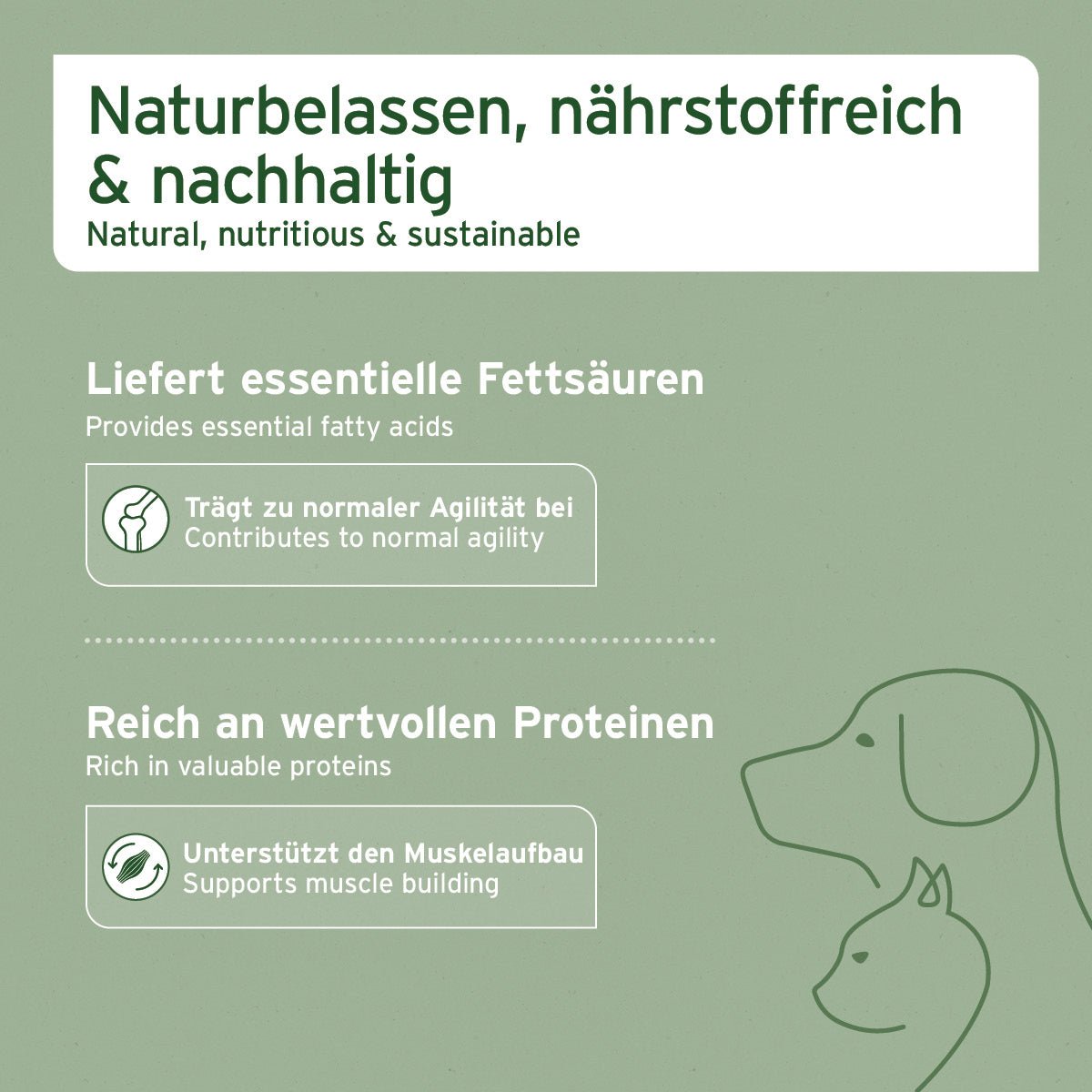 AniForte Muschelkraft Pulver aus Blauer Miesmuschel für Hunde und Katzen