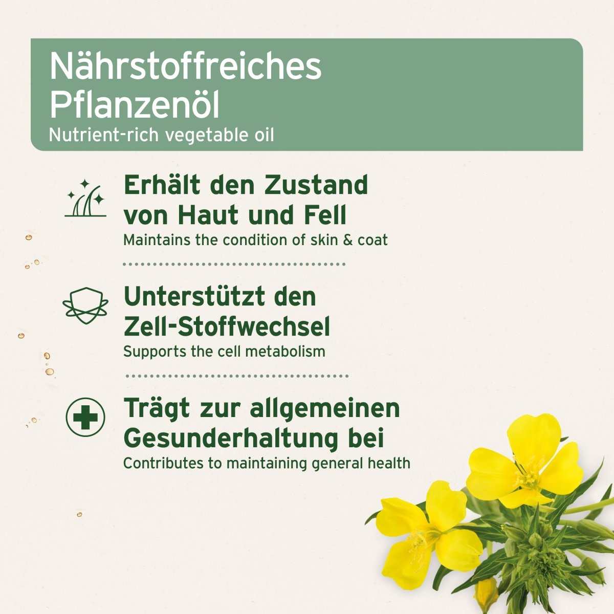 Informationen zum Nährstoffreiches Pflanzenöl mit Nachtkerzenblüte, unterstützt Haut, Fell und Zell-Stoffwechsel bei Haustieren.