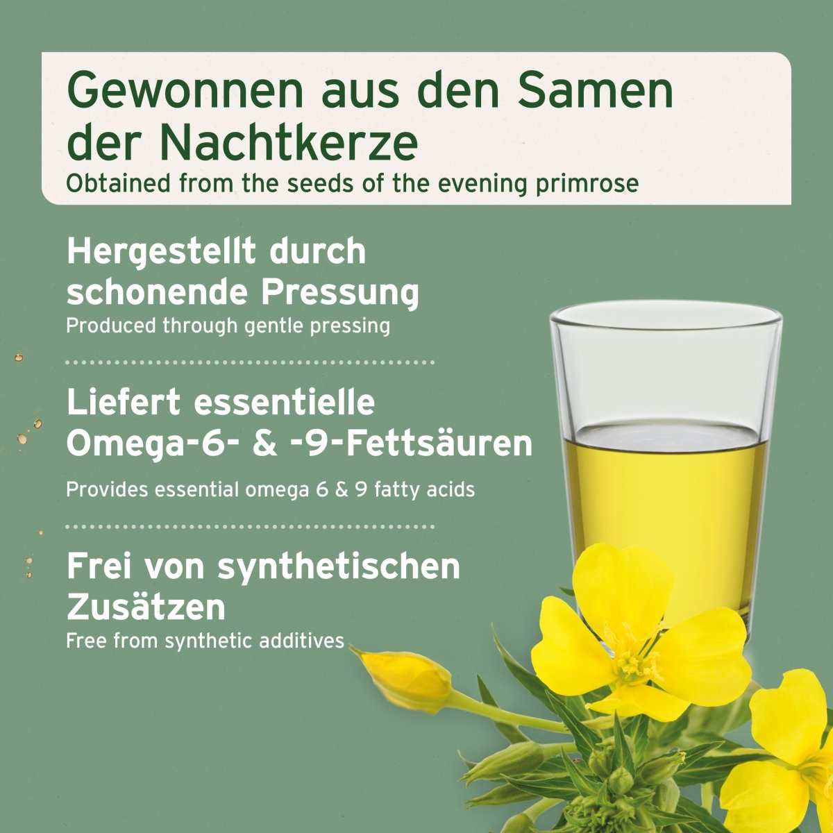 Informationen Nachtkerzenöl für Hunde und Katzen, gewonnen aus Samen der Nachtkerze, reich an Omega-6- und Omega-9-Fettsäuren, frei von synthetischen Zusätzen und befülltem Glas.
