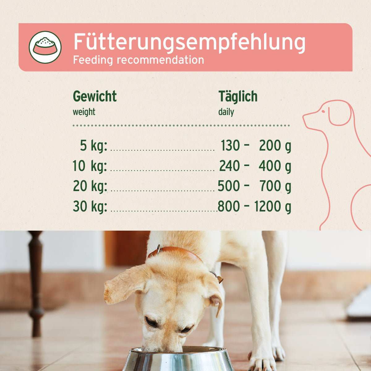 Fütterungsempfehlung für Hunde mit AniForte® Rind Pur Nassfutter, getreidefrei, in Super-Premium-Qualität.