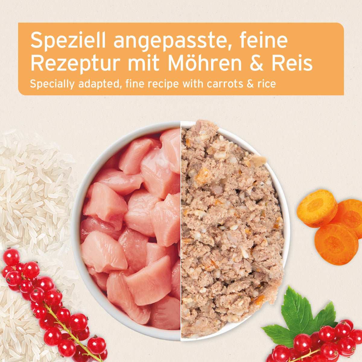 Schale hochwertiges Senior-Nassfutter mit Huhn, Möhren, Reis und Johannisbeeren für Hunde, glutenfrei.