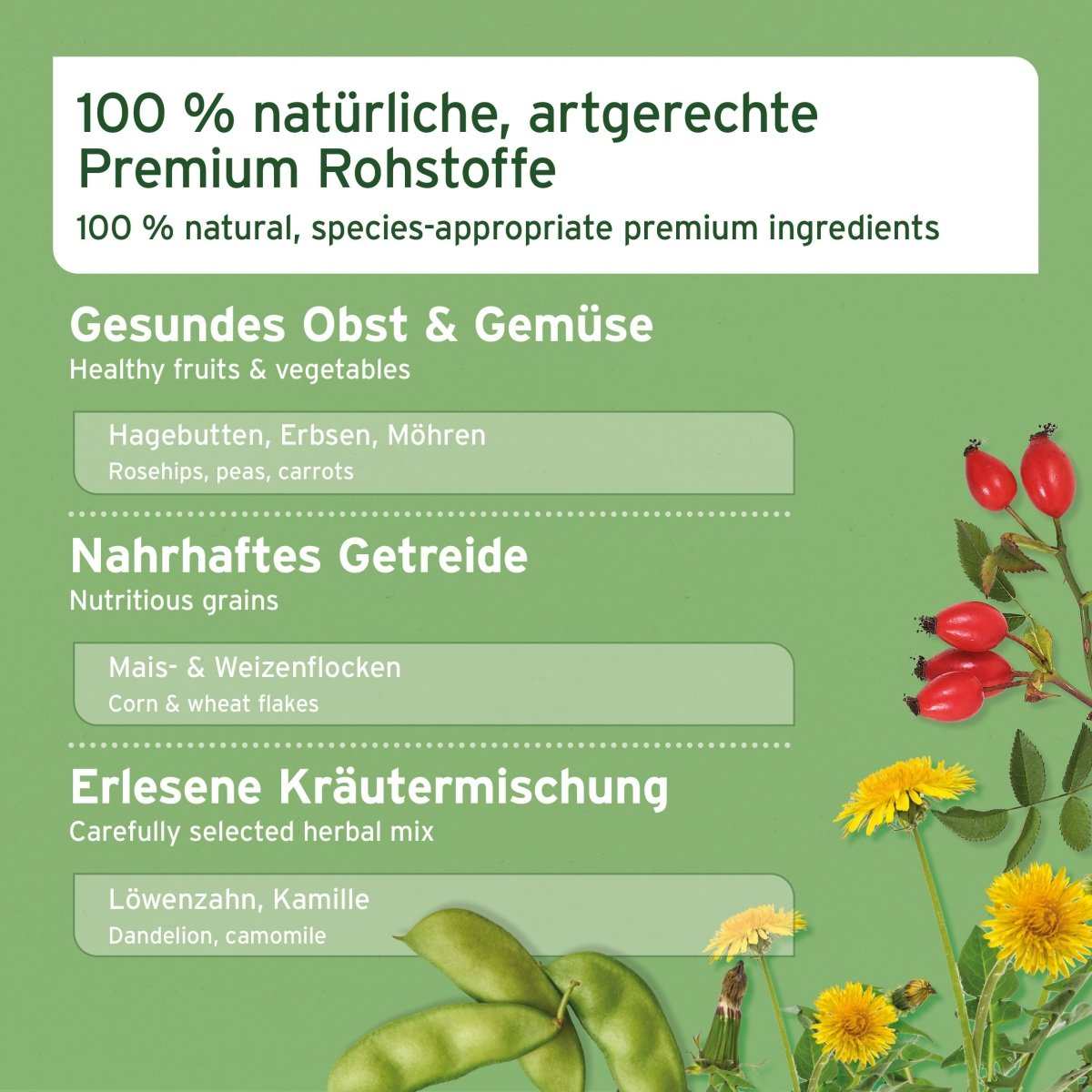 Natur Nagerfutter mit Hagebutten, Erbsen, Möhren und Kräutern für gesunde Ernährung.