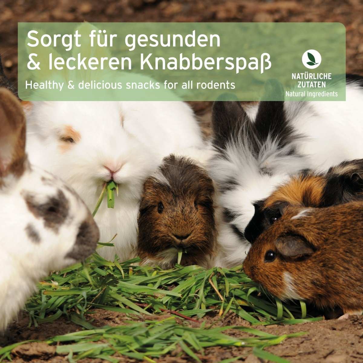 Kaninchen und Meerschweinchen fressen AniForte® Natur Nagerfutter aus natürlichen Zutaten.
