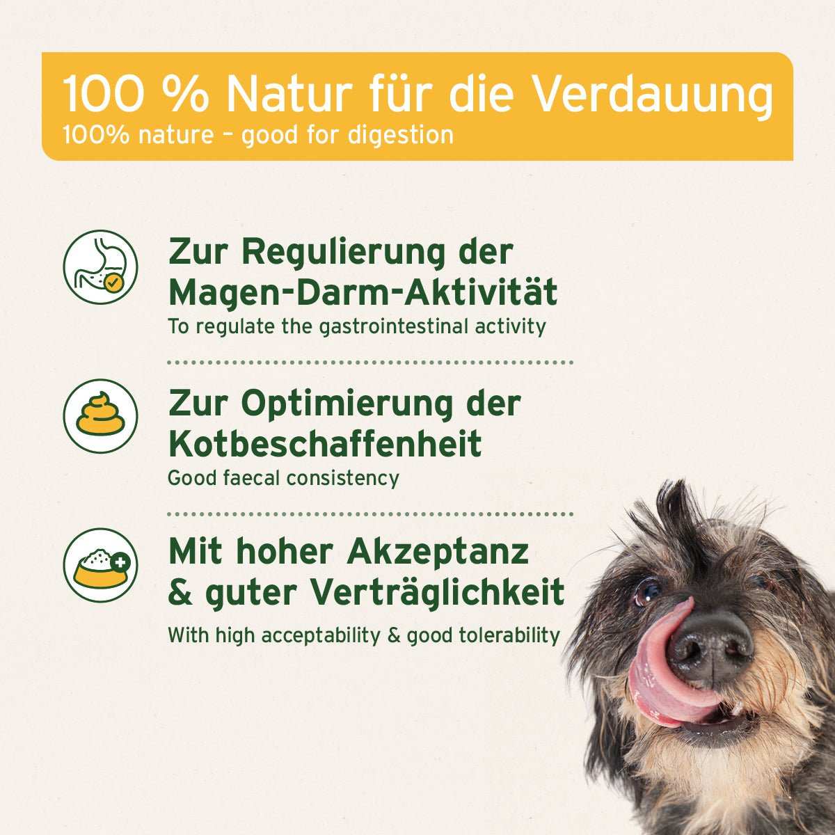 Informationsgrafik mit den Vorzügen des Artikels Naturmoor für Hunde, Verbesserung der Verdauung und Immununterstützung.