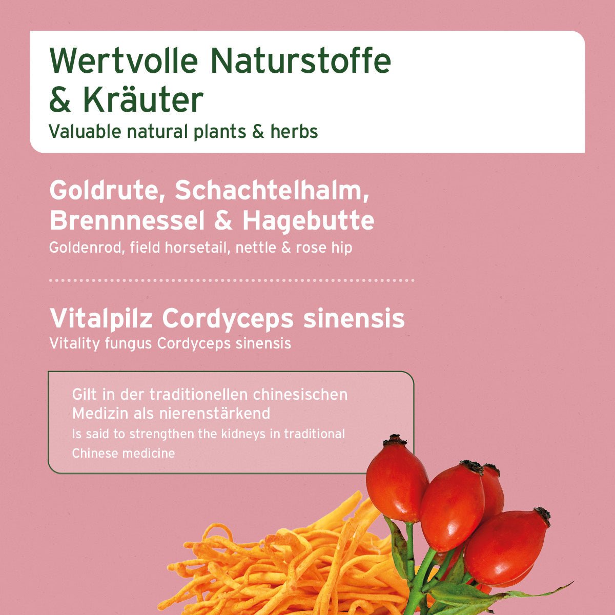 Nieren Vetal Pulver - AniForte