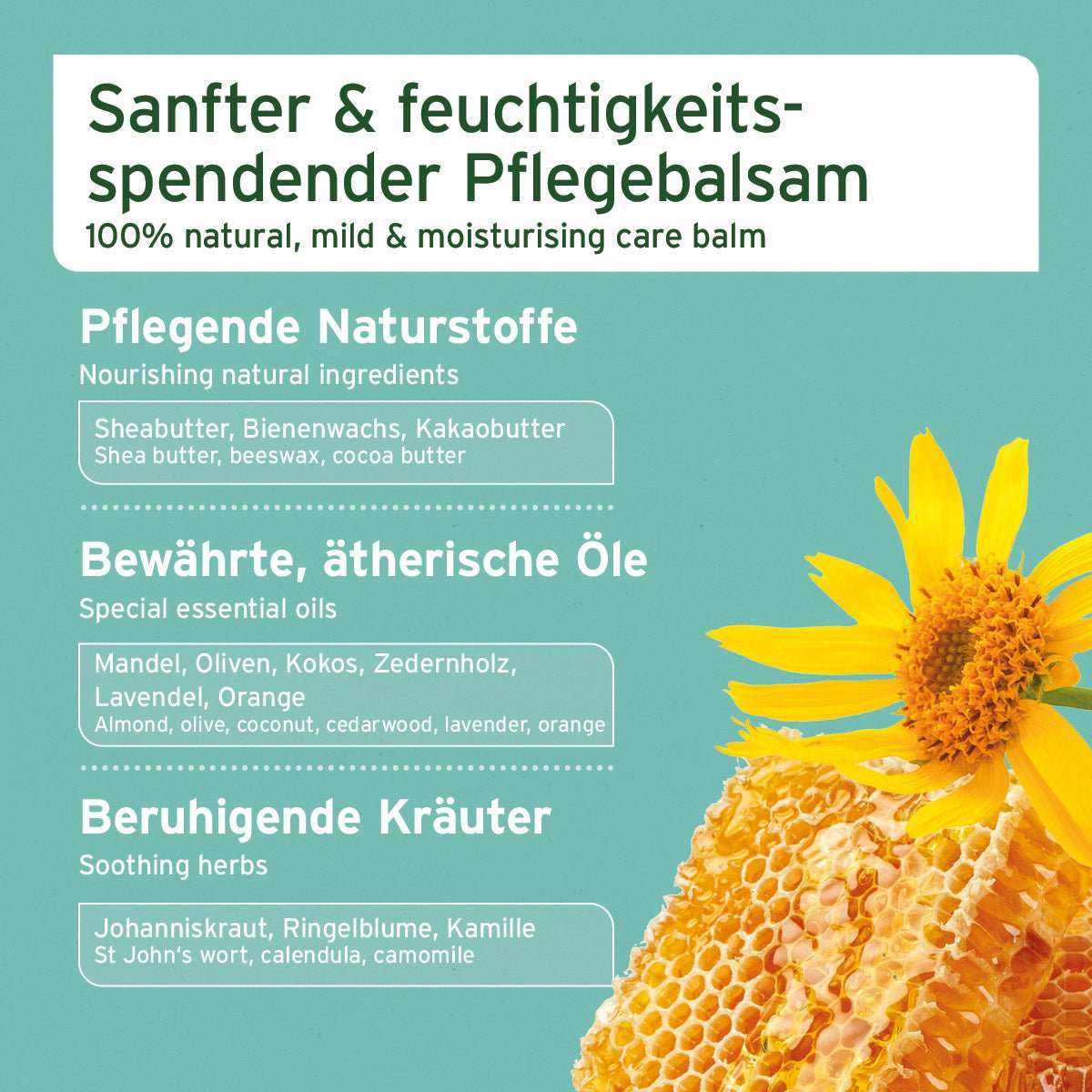 Pfotenschutzbalsam für Hunde und Katzen mit natürlichen Inhaltsstoffen wie Sheabutter, Olivenöl, und Bienenwachs zur Pflege und Schutz der Pfoten.