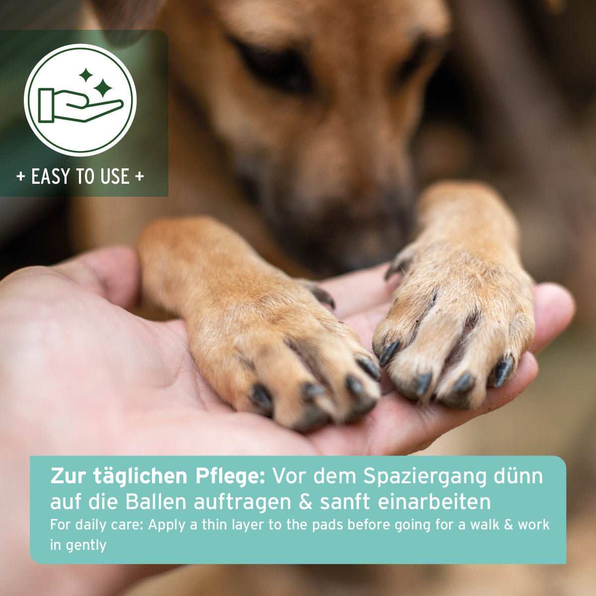 Pfotenschutz Balsam für Hunde und Katzen, Anwendung zur Pflege und Schutz der Pfoten, natürliche Inhaltsstoffe für sanfte Hautpflege, holzig-fruchtiger Duft.
