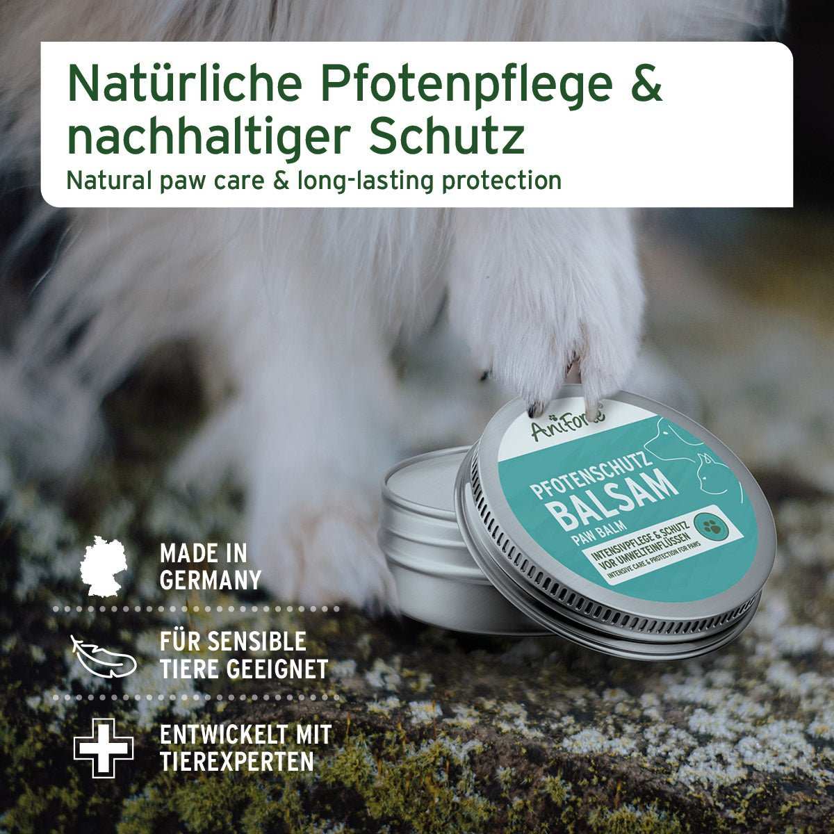 Pfotenschutz Balsam für Hunde und Katzen, natürliche Inhaltsstoffe, intensive Feuchtigkeitspflege, Schutz bei jedem Wetter.