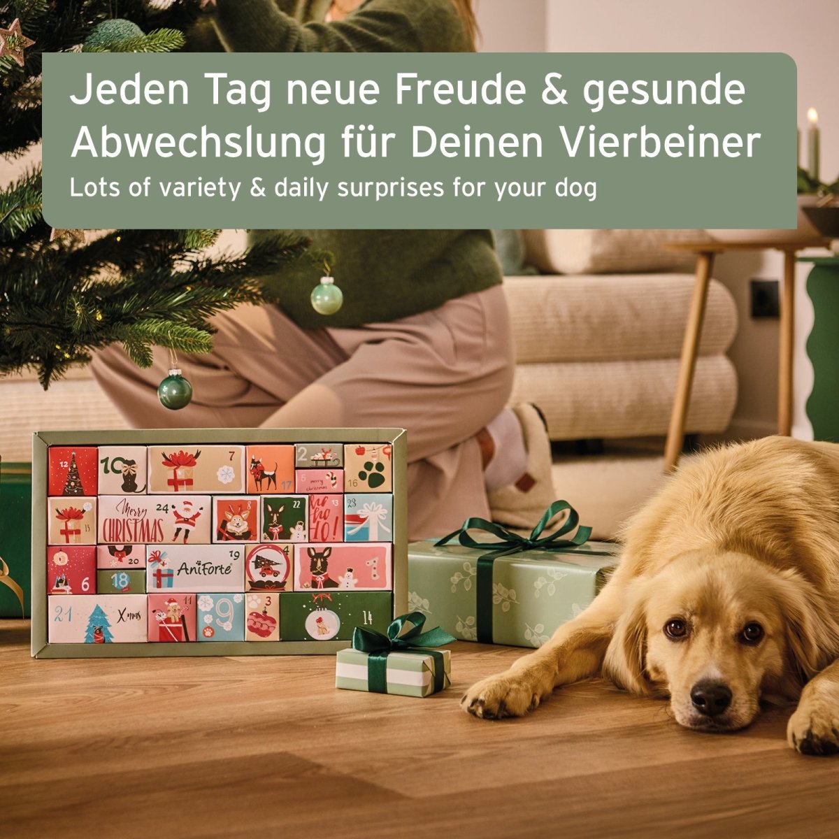 Premium Adventskalender für Hunde - AniForte