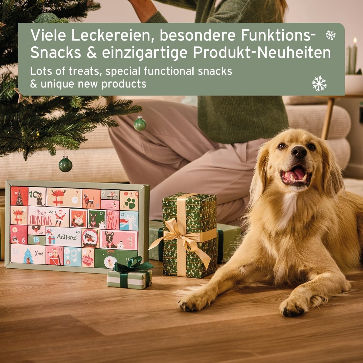 Premium Adventskalender für Hunde - AniForte