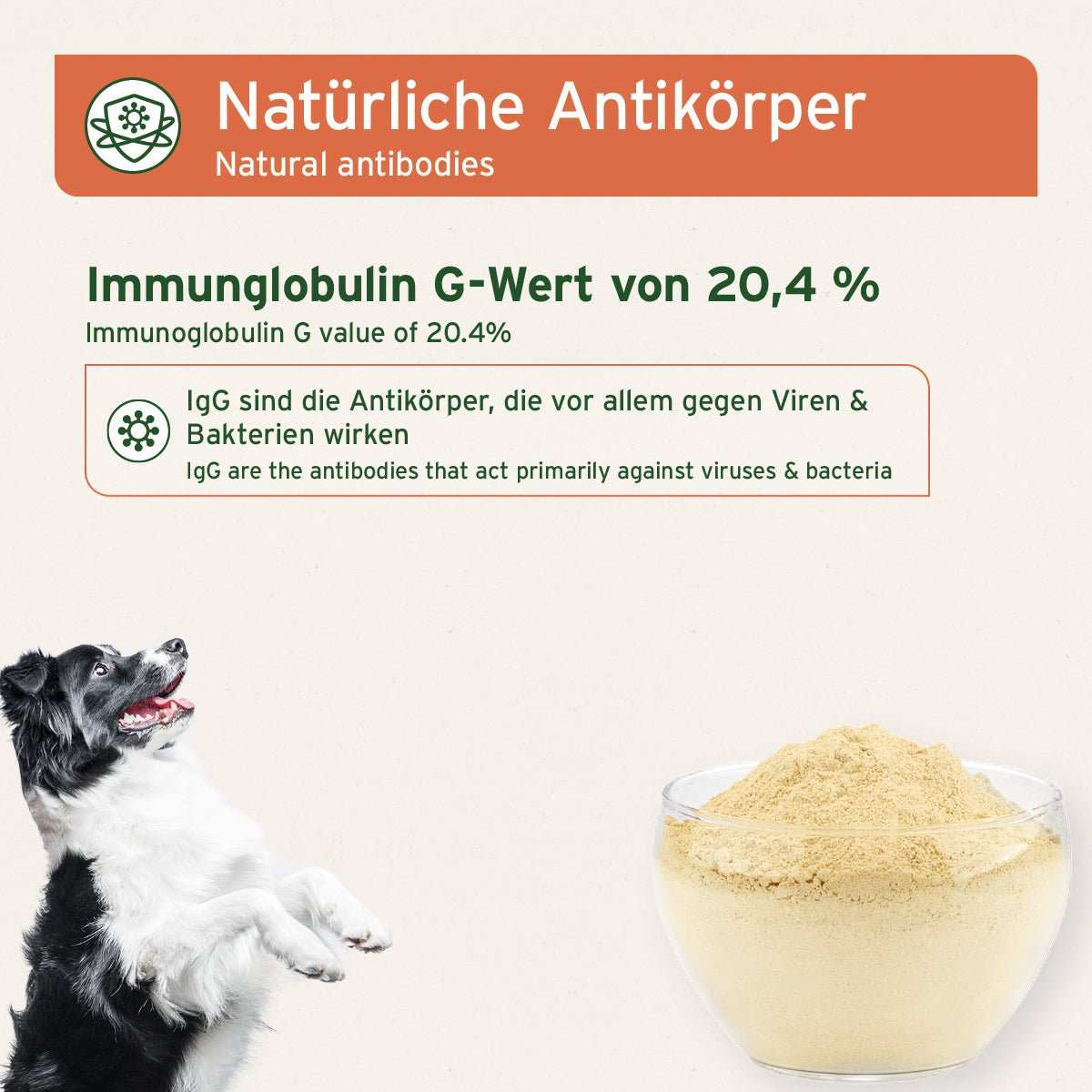 Fütterungsempfehlung Premium Colostrum für Hunde und Katzen, unterstützt Immunsystem, hochwertiges Einzelfuttermittel aus Kuh-Erstmilch, enthält Immunglobulin G, natürlich und entrahmt.