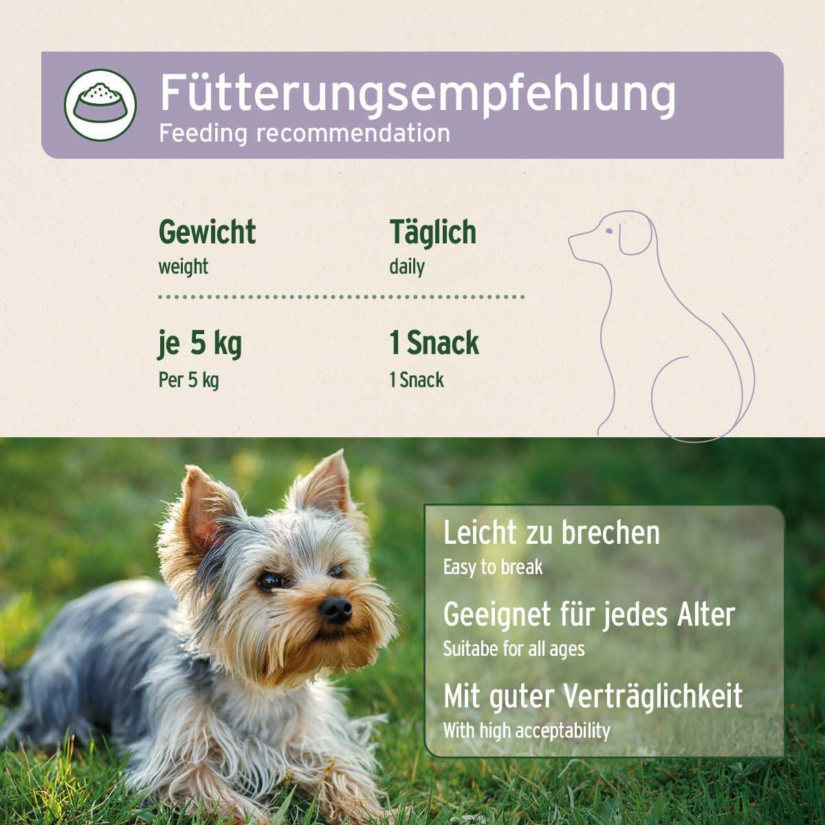 Kleiner Hund, liegend auf Wiese mit Fütterungsempfehlung.