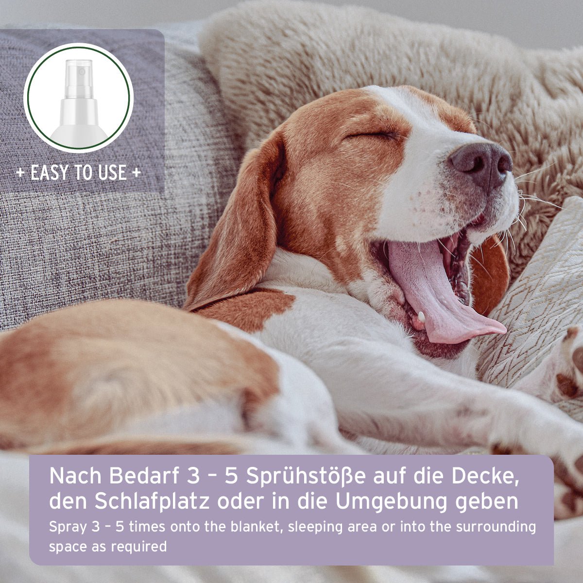 Beruhigendes Umgebungsspray mit Lavendel, Vanille und Kamille für entspannte Hunde und Katzen