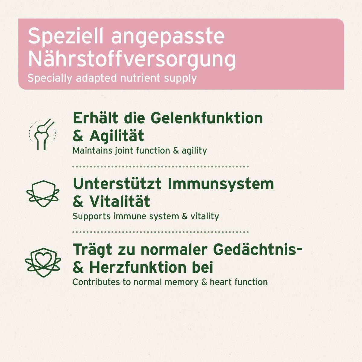 Informationen zum Senior Active mit Piktogrammen.