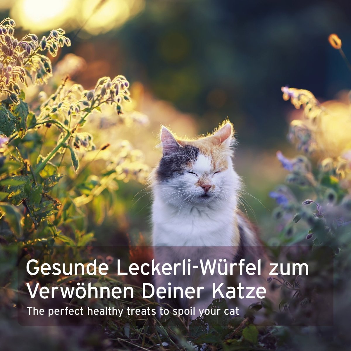 AniForte® Soft Snack Ente weiche Entenfleischwürfel für Katzen ohne Getreide