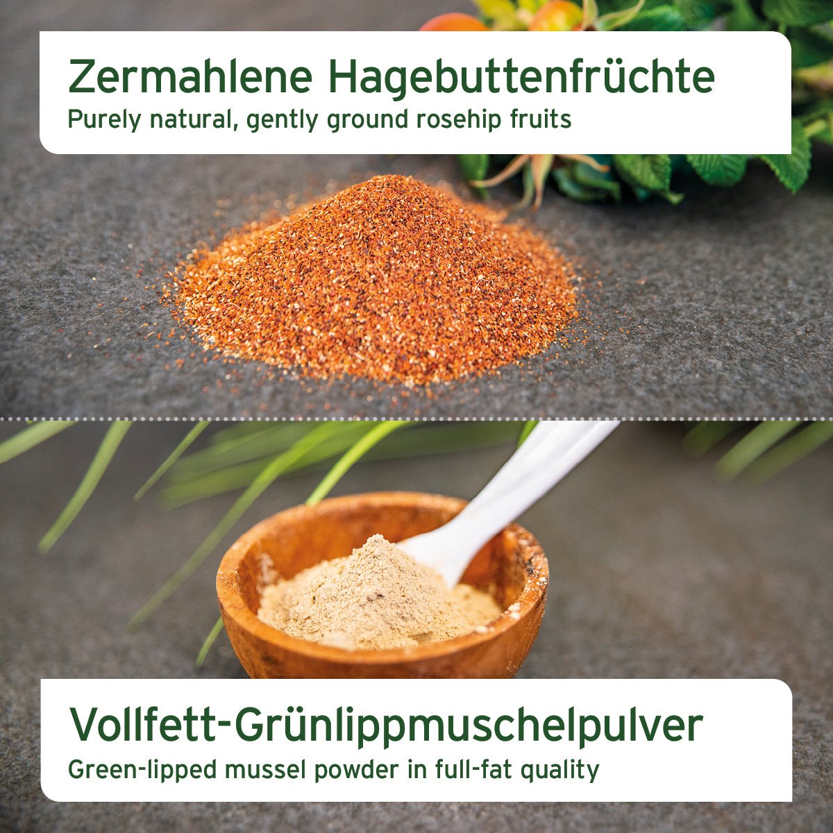 AniForte Gelenke-Set mit Hagebutten- und Grünlippmuschelpulver für starke Gelenke bei Hunden und Katzen