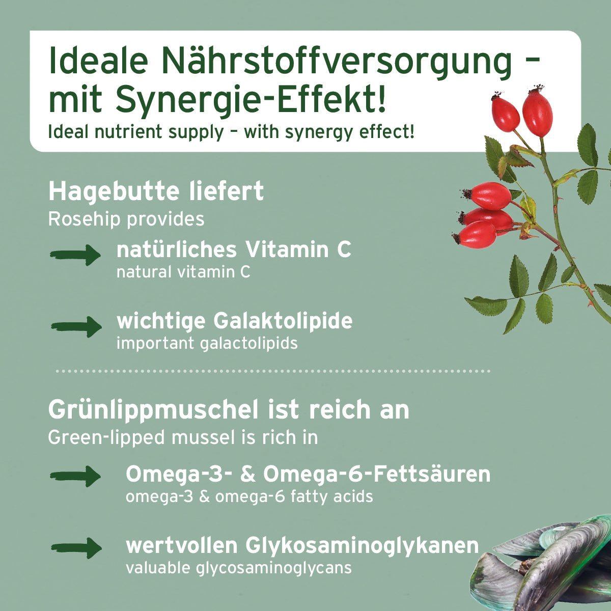 Starke Gelenke - AniForte