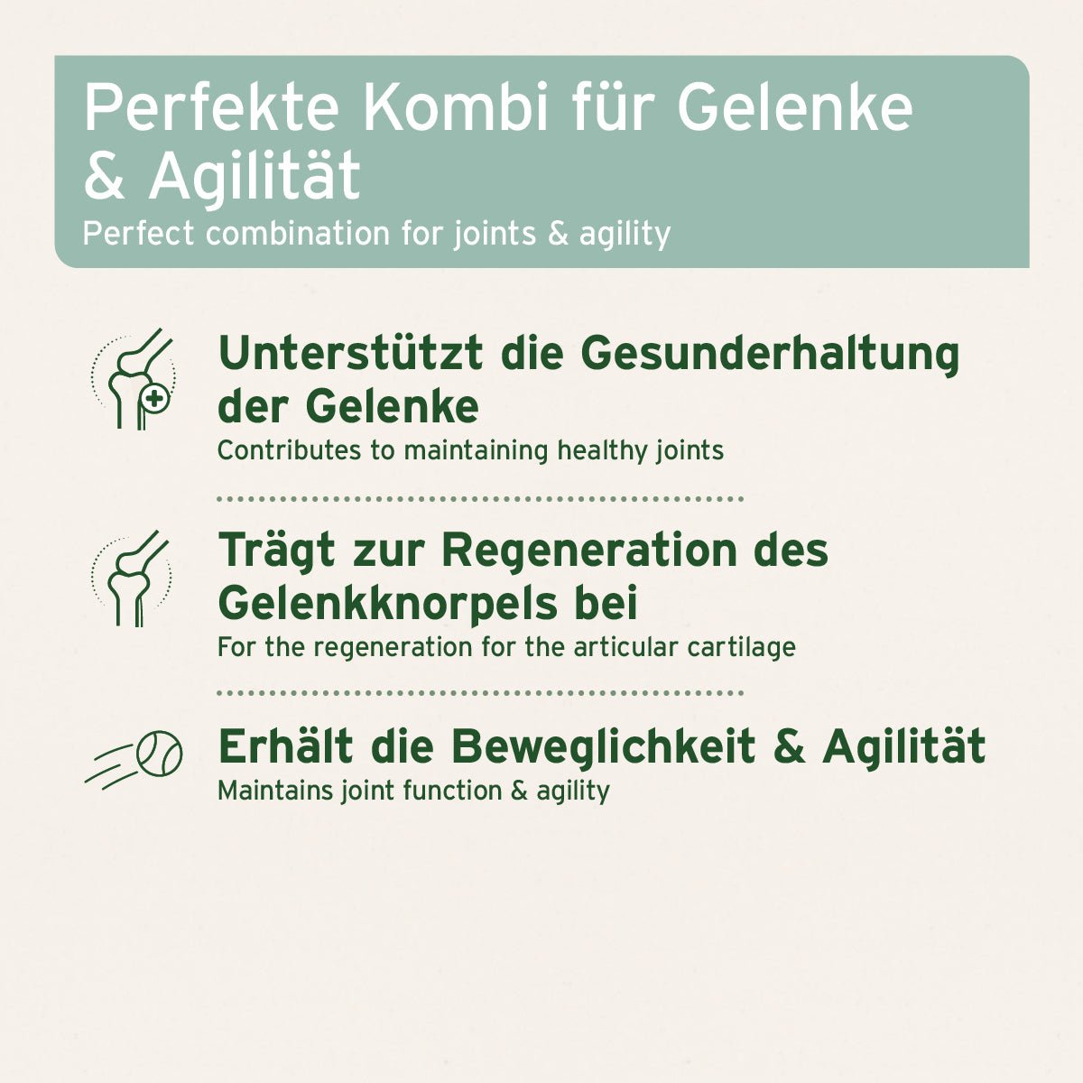 AniForte Gelenke-Set mit Hagebutten- und Grünlippmuschelpulver für starke Gelenke bei Hunden und Katzen