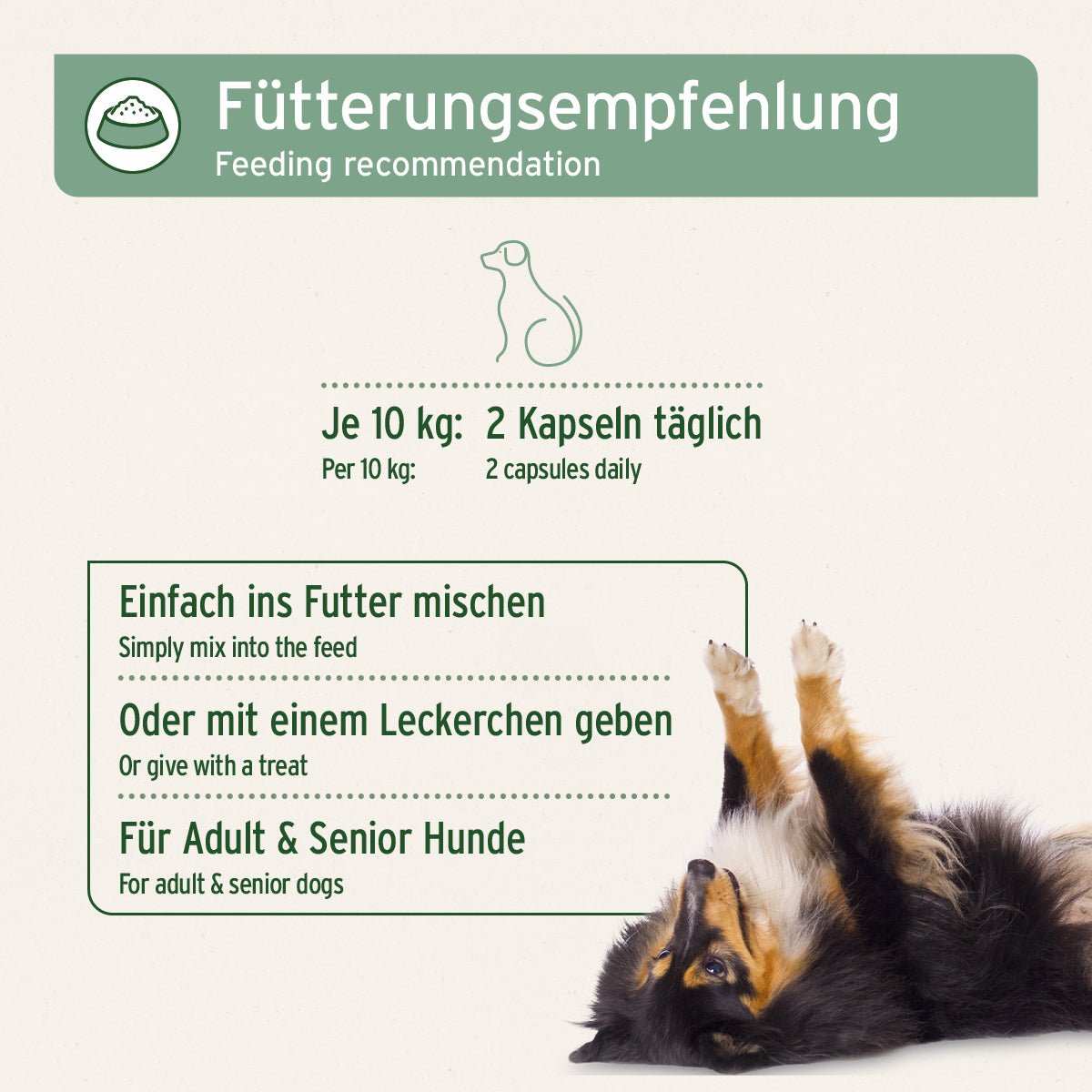 Teufelskralle Gelenk-Kapseln für Hunde, Unterstützung für Gelenkfunktion, Sehnen und Bänder, geeignet für erwachsene und Senioren-Hunde.