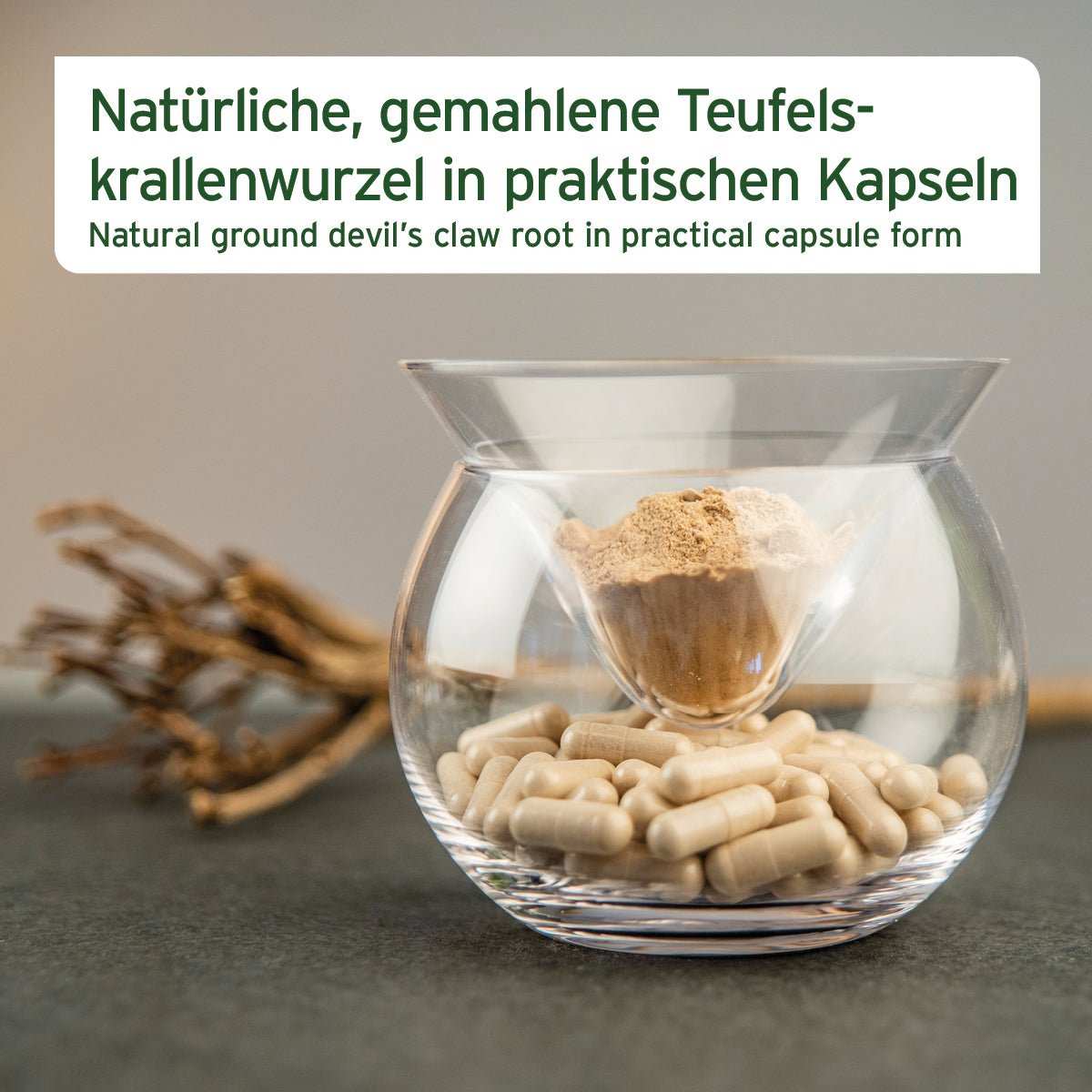 Natürliche Teufelskralle Kapseln für Hunde zur Unterstützung der Gelenkfunktion.